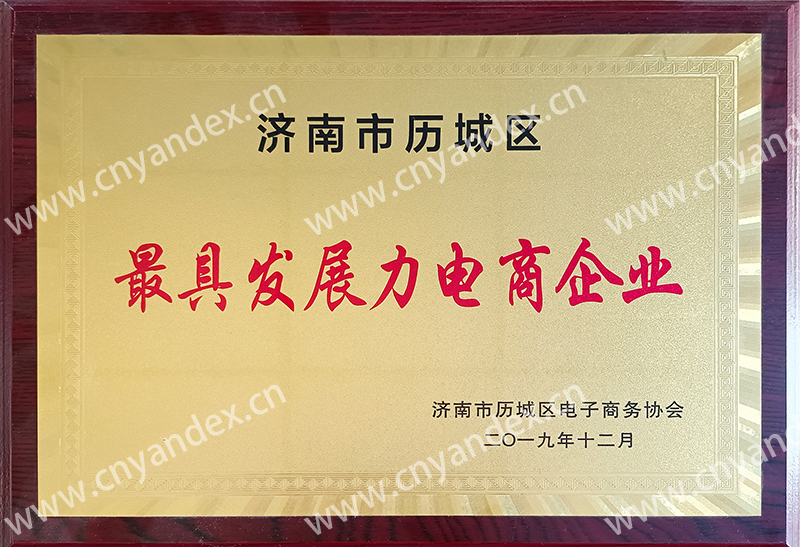 最具發(fā)展力電商企業(yè)