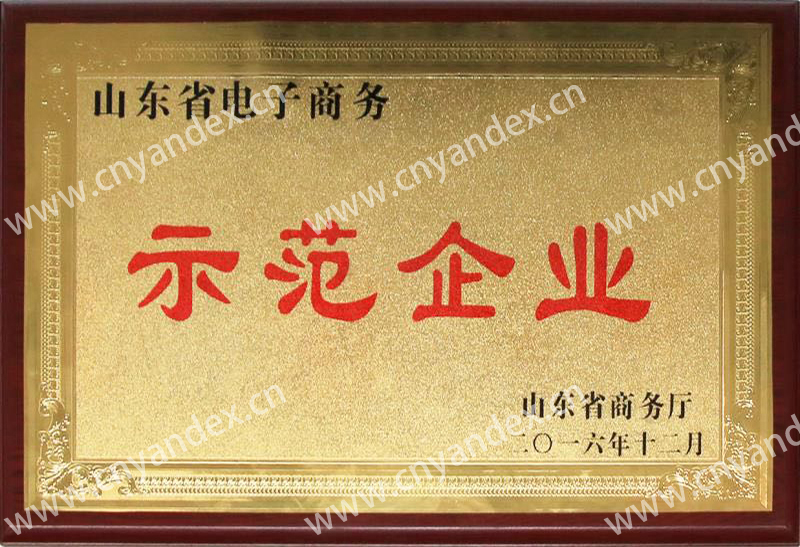 山東省電子商務(wù)示范企業(yè)
