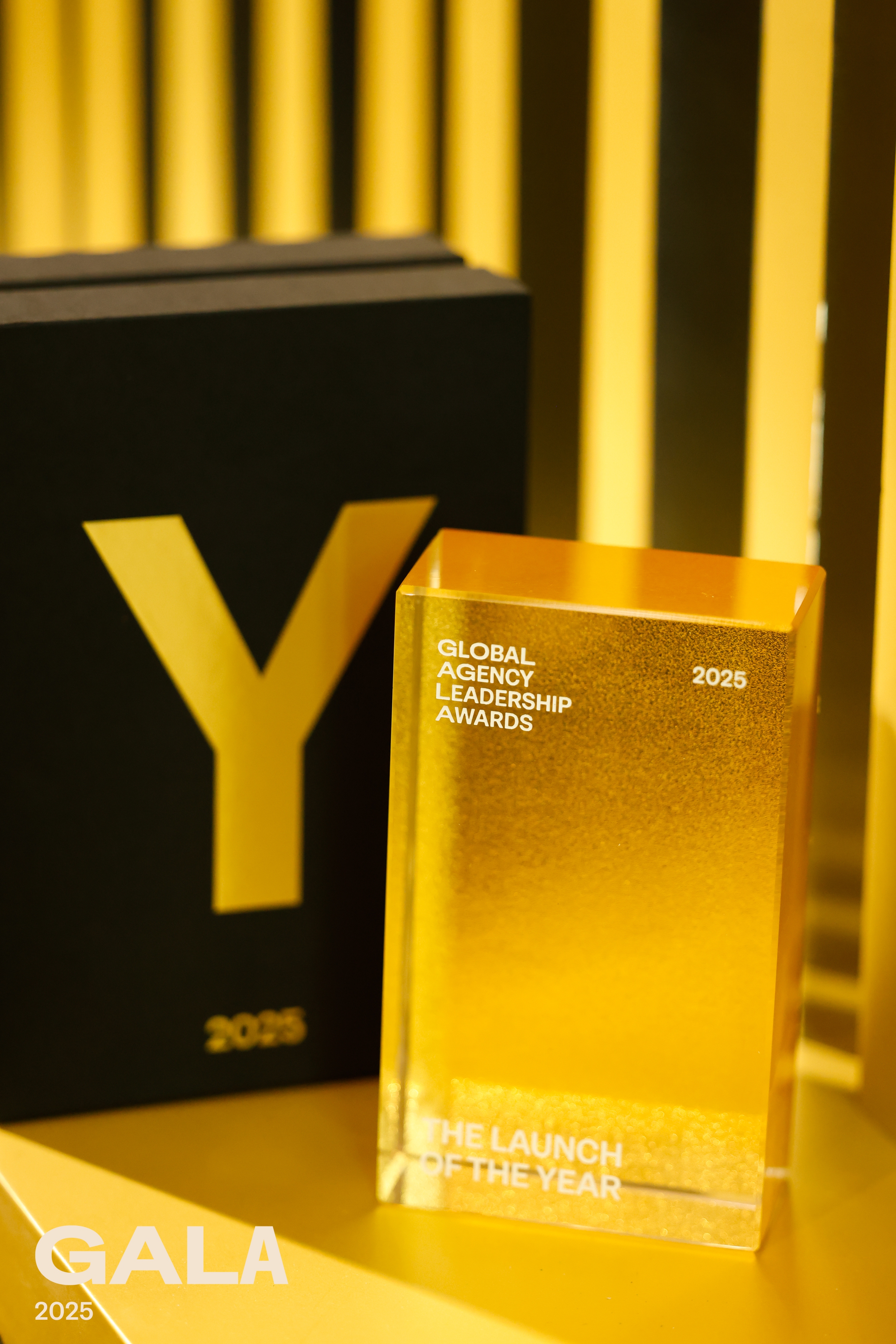 1764315968107991.jpg 1764315968107991.jpg